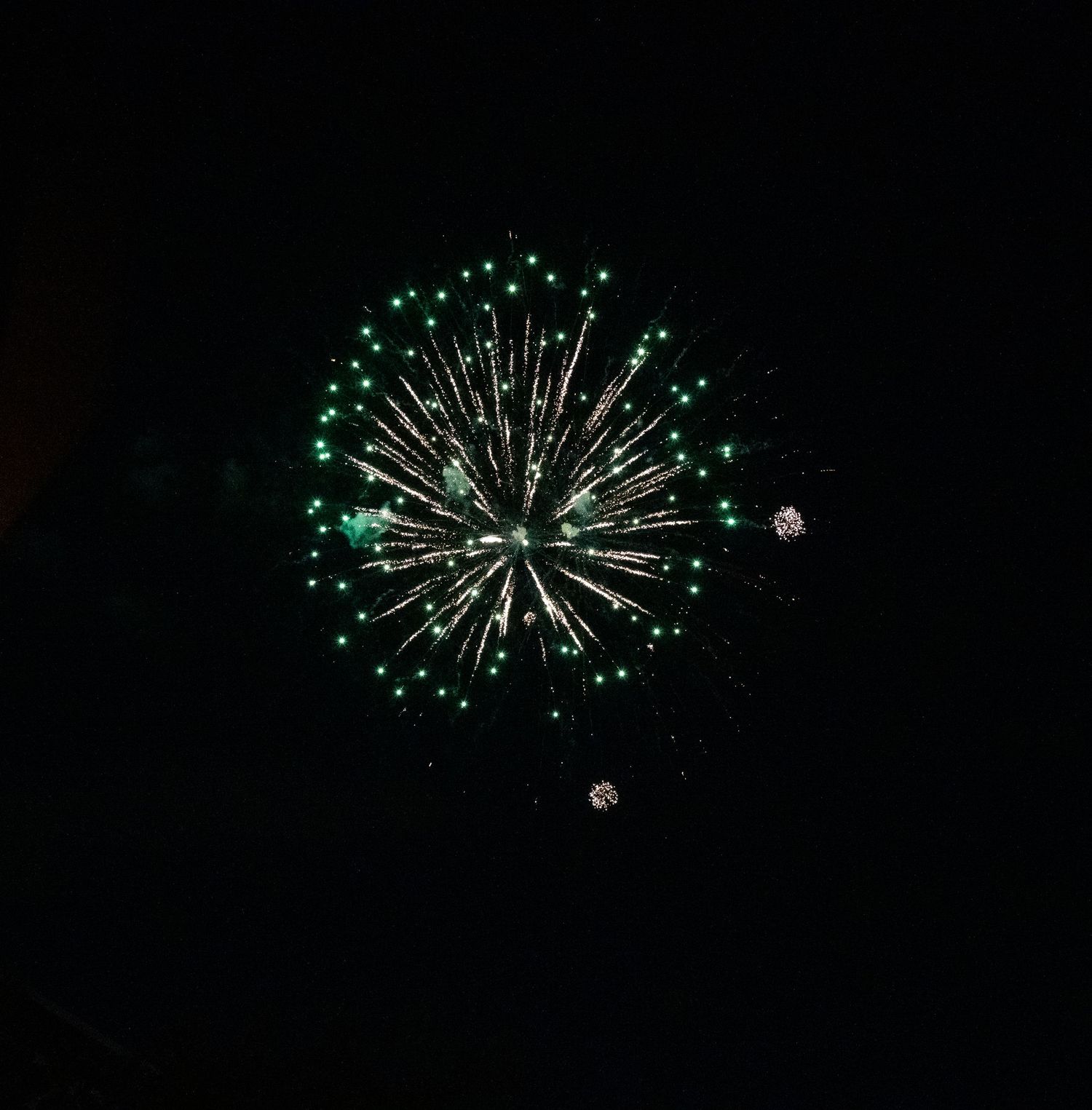 Emerald green firework explodes in a perfect dandelion shape against dark sky.