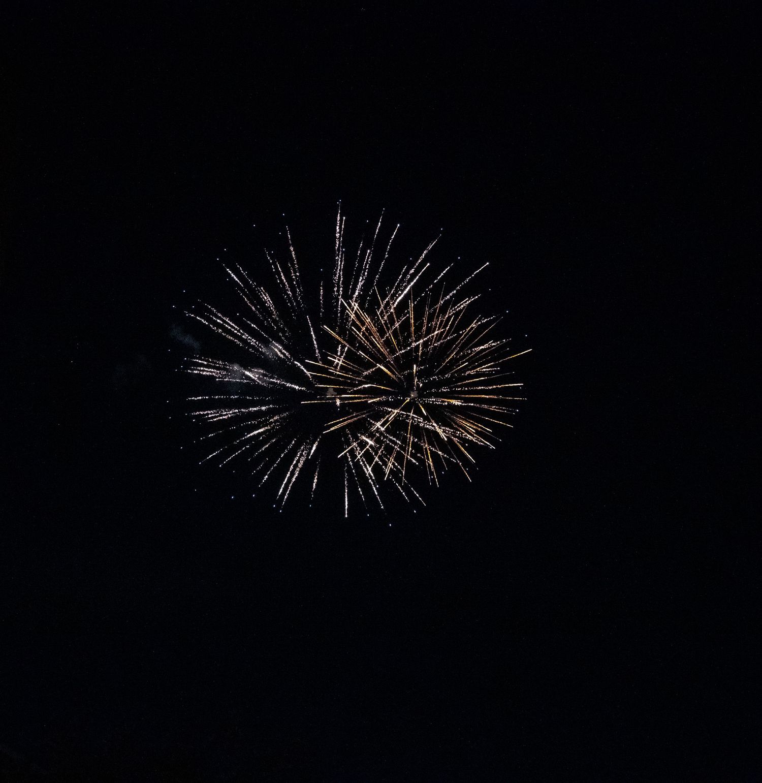 Silver and gold firework creates a wide chrysanthemum pattern in the night sky.