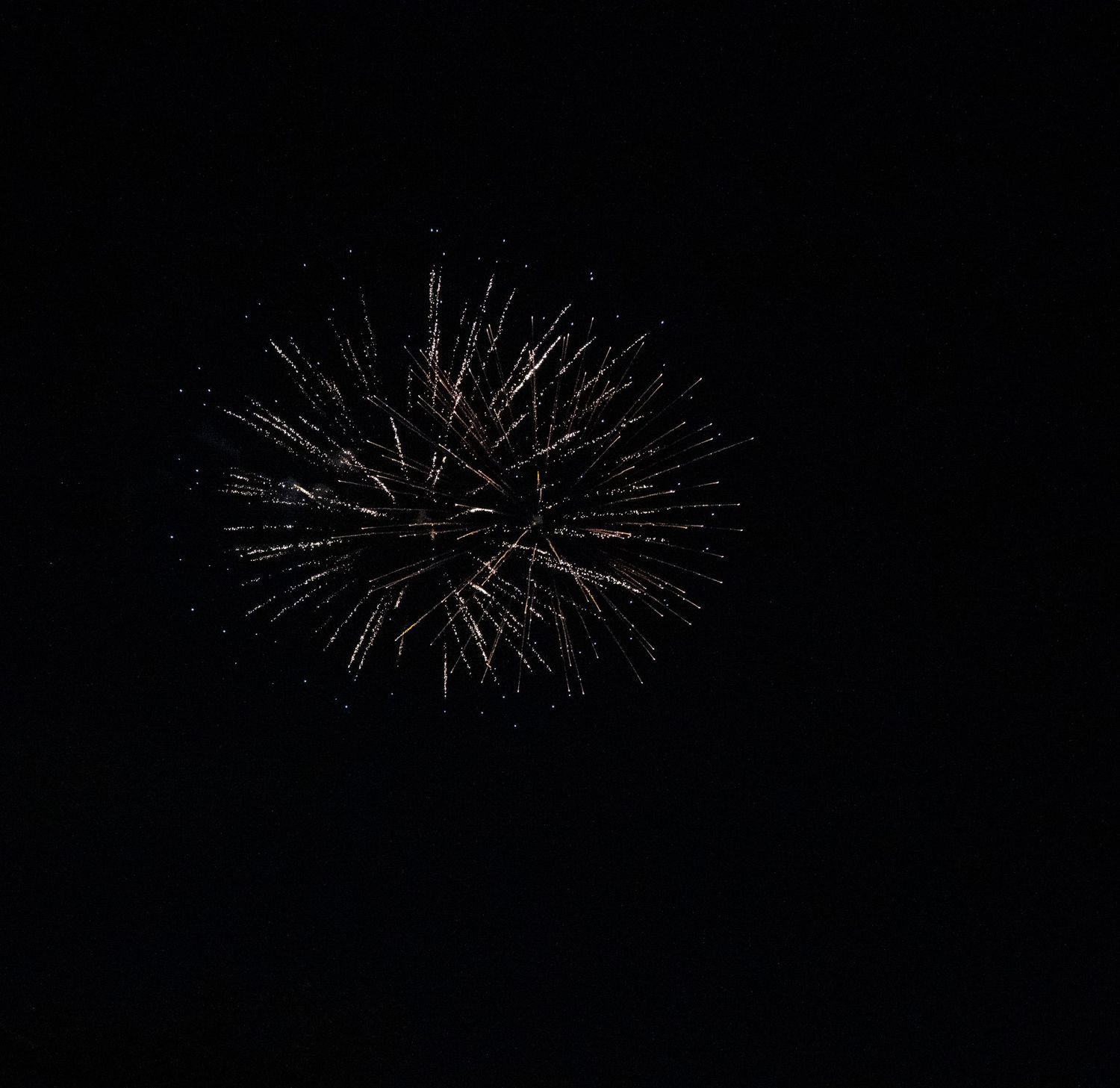 Silvery white firework spreads in a symmetrical burst pattern against black sky.