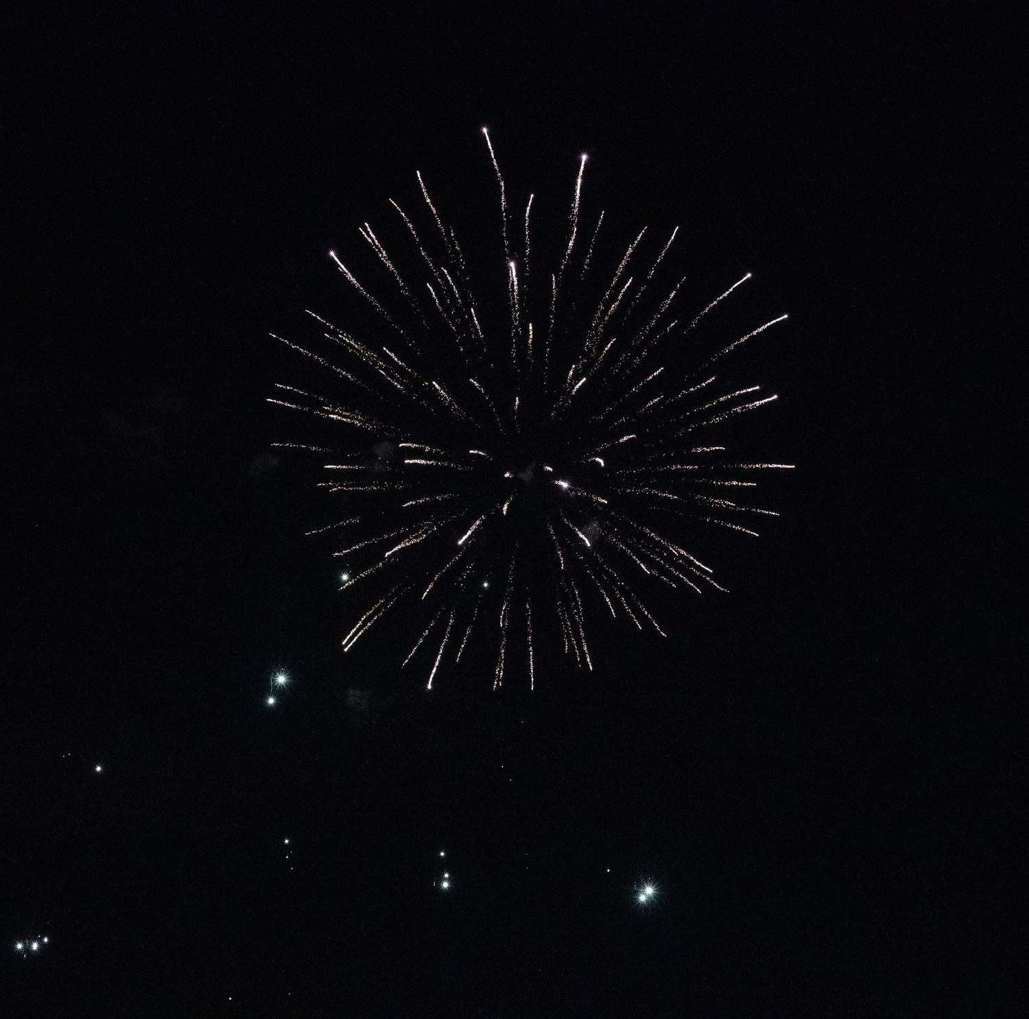 Symmetrical white firework burst forms a perfect starburst pattern in the night sky.
