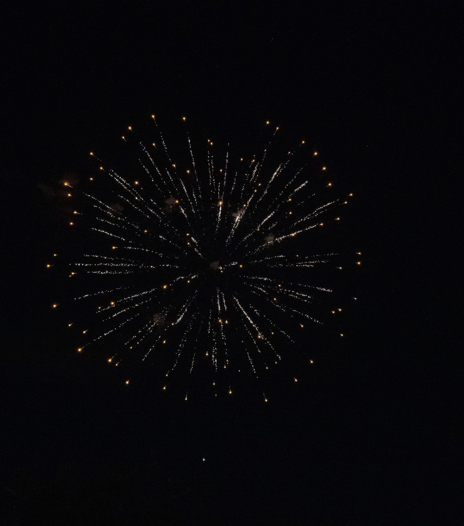 Golden-tipped firework creates a perfect circular pattern against the dark night sky.
