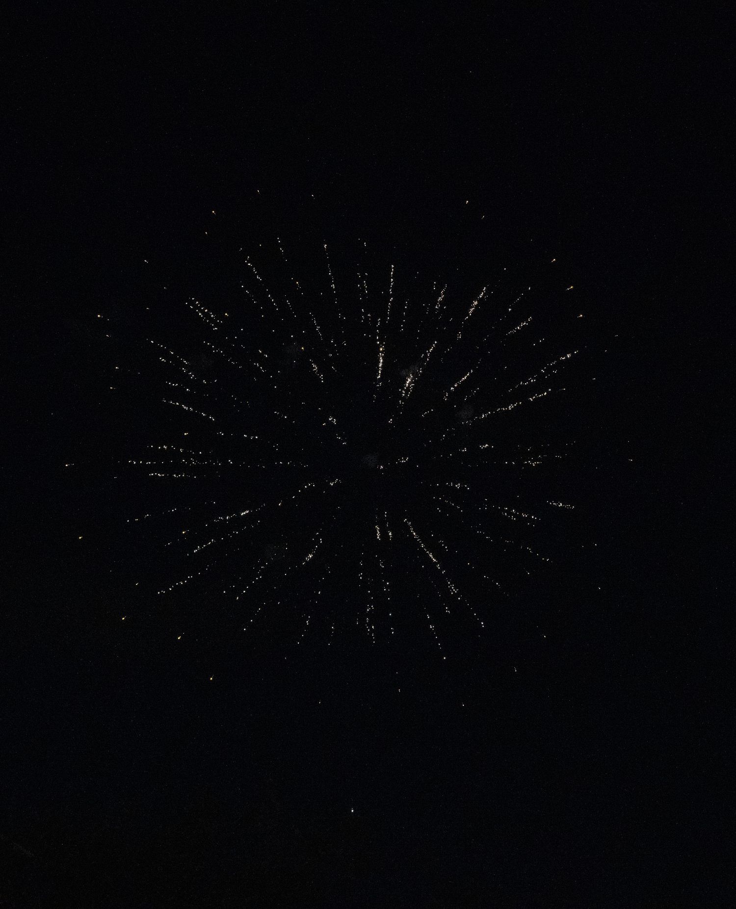 Silver firework explosion creates a symmetrical starburst pattern in the dark night sky.