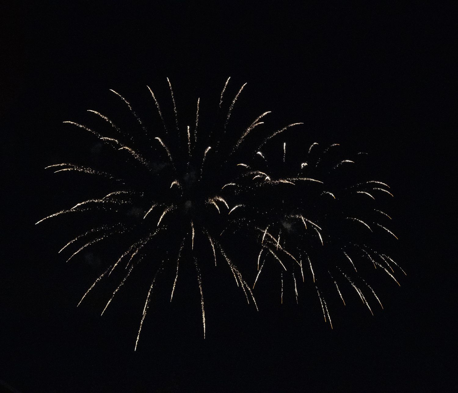 Multiple gold firework bursts spread across the night sky in an elegant display.