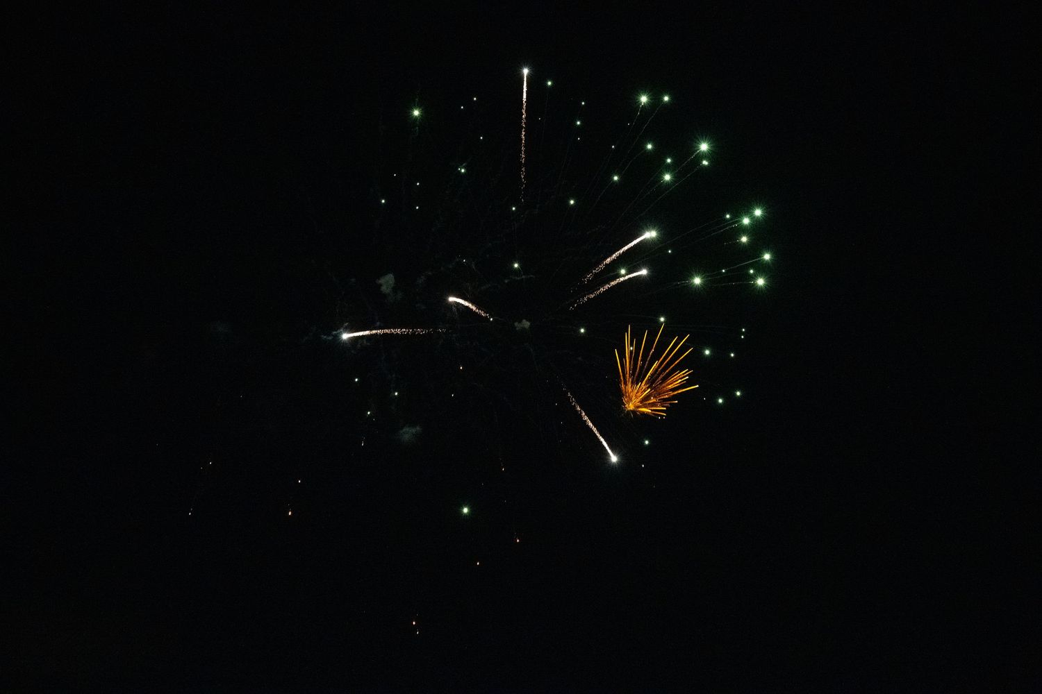 Firework display with green and gold sparks spreading across dark sky.