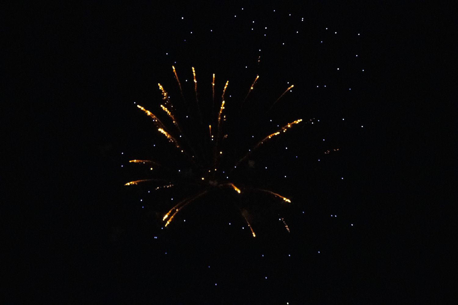 Orange starburst firework explosion radiating outward in night sky.