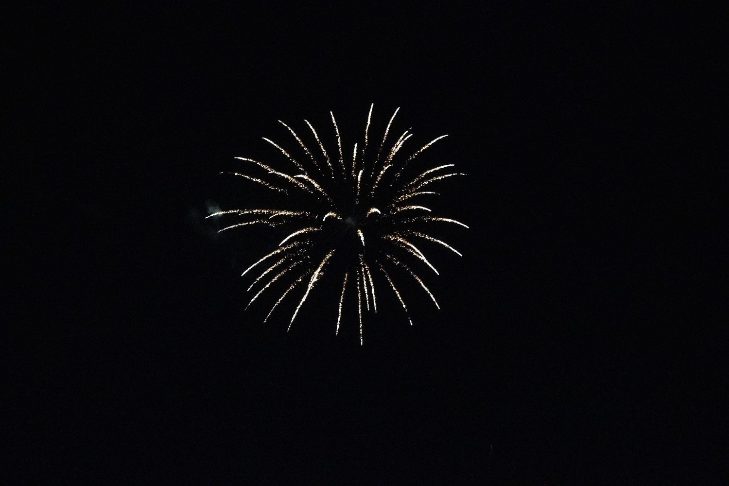 Classic silver dandelion-shaped firework explosion against dark background.