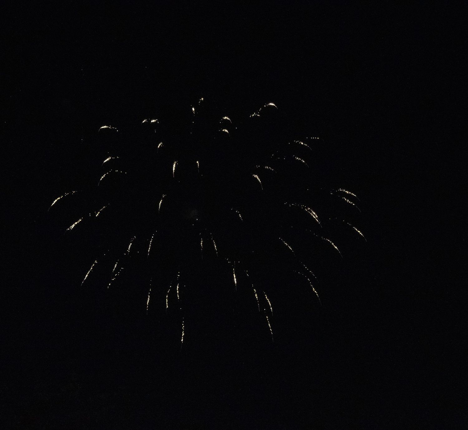 Delicate fan-shaped firework display with white sparks spreading outward.