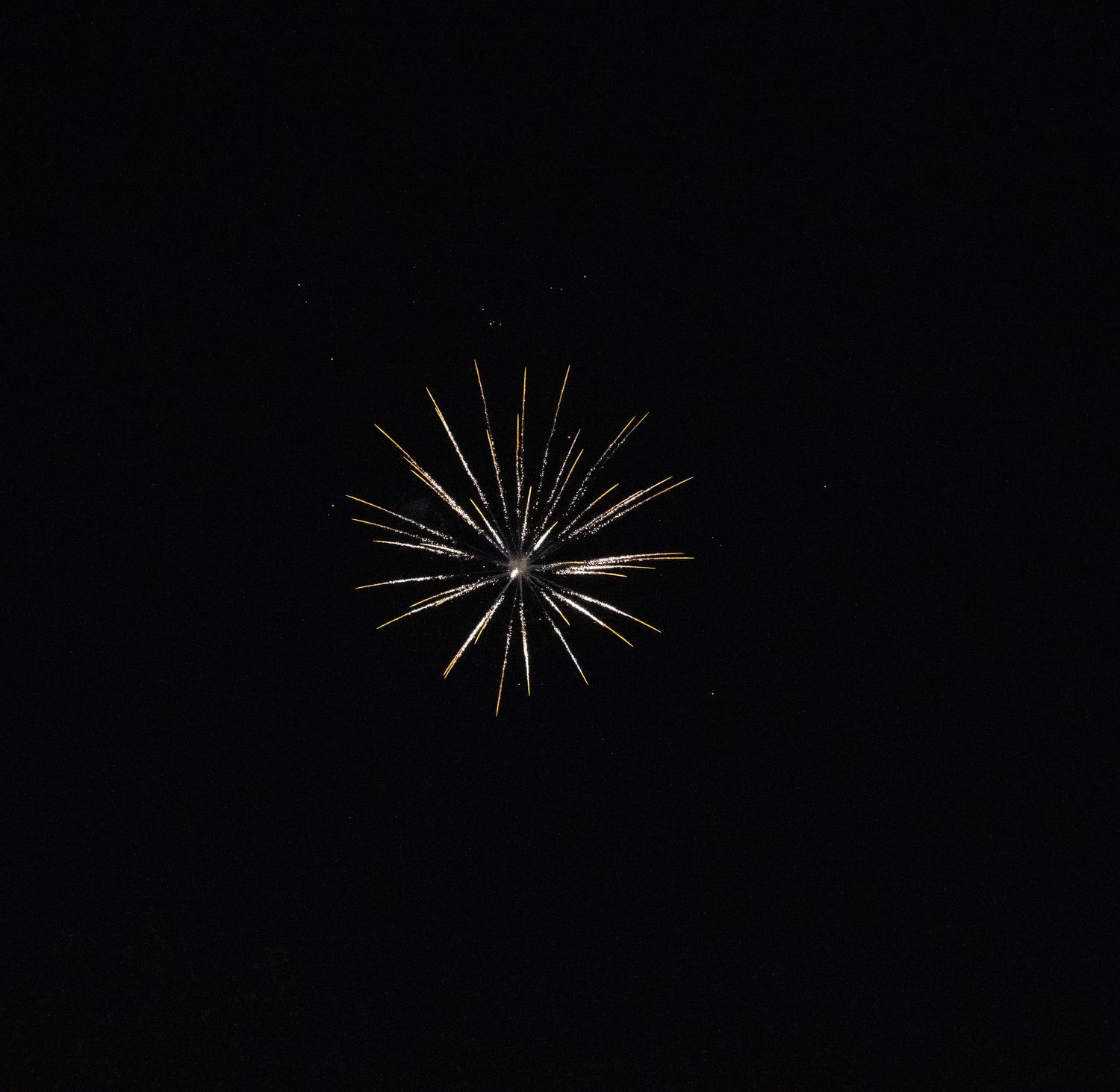 A single white firework burst against a dark night sky forming a symmetrical starburst pattern.
