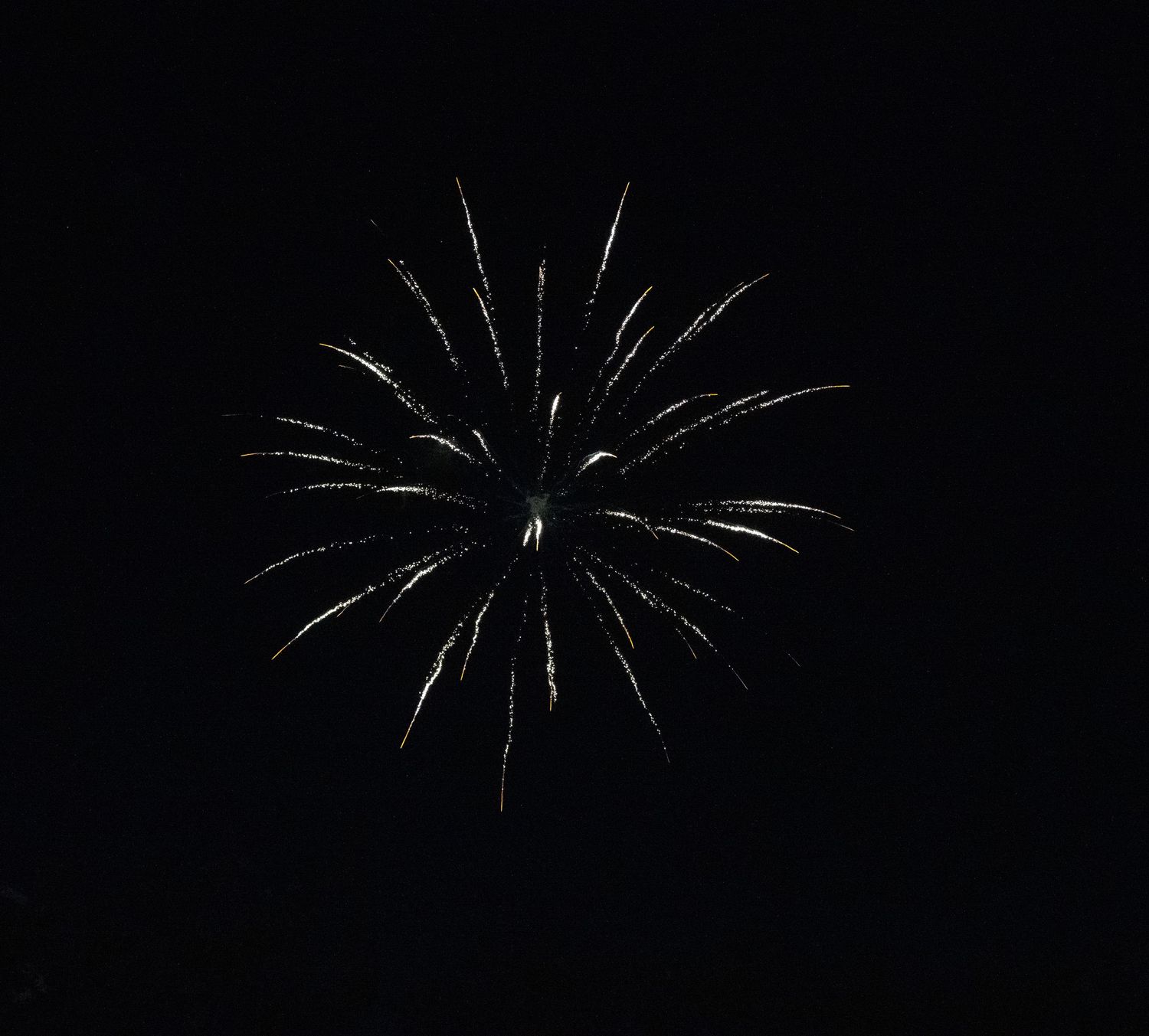 Detailed capture of a white firework burst with trailing sparks against black background.