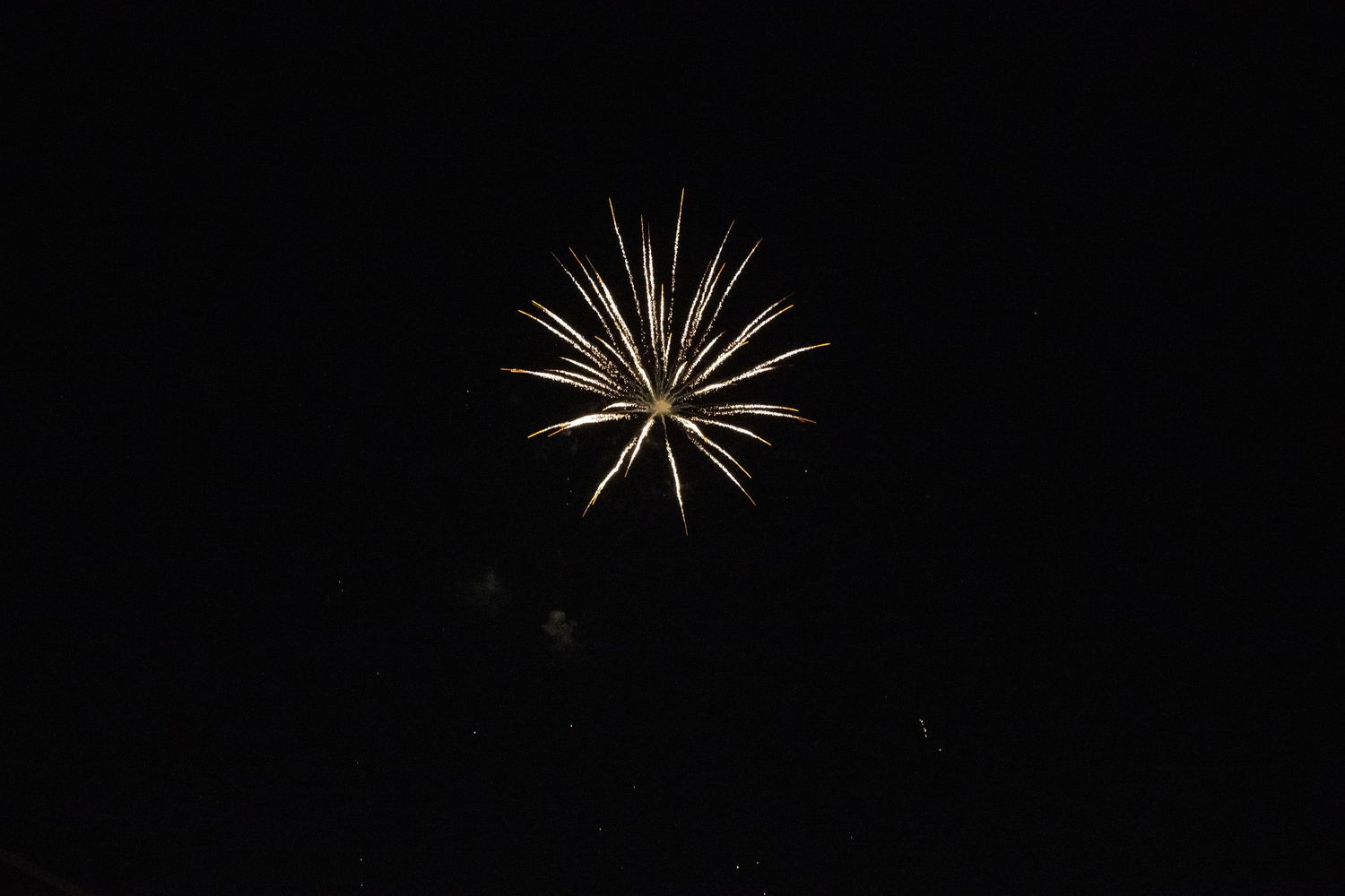 Elegant starburst firework display with long white streaks illuminating the night sky.
