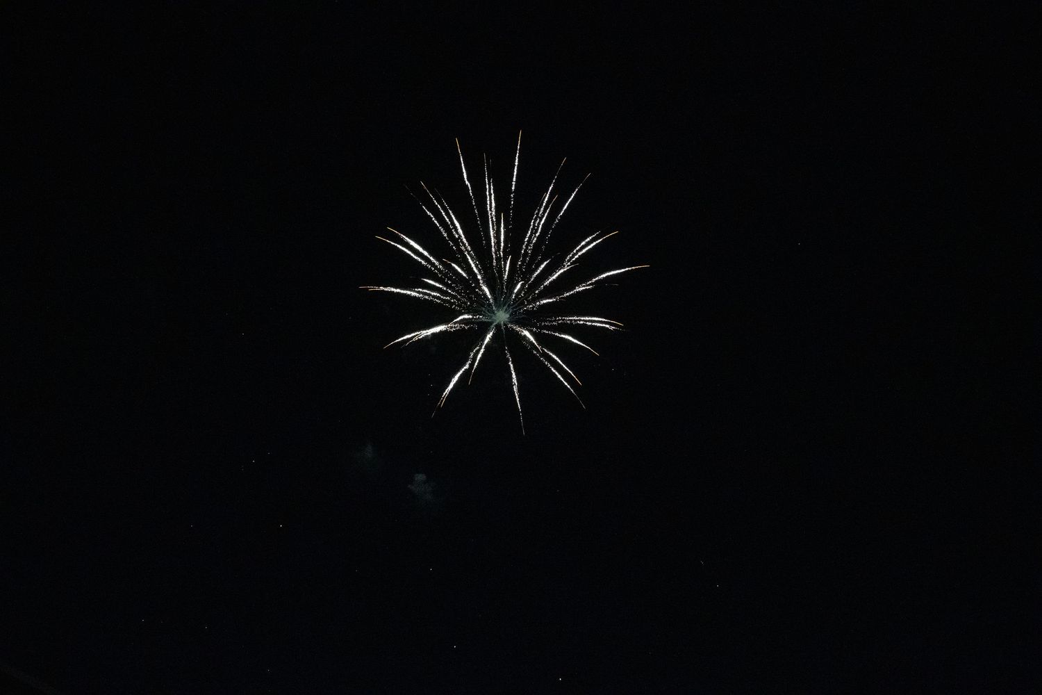 White starburst firework explosion creating a perfect circular pattern in the dark.