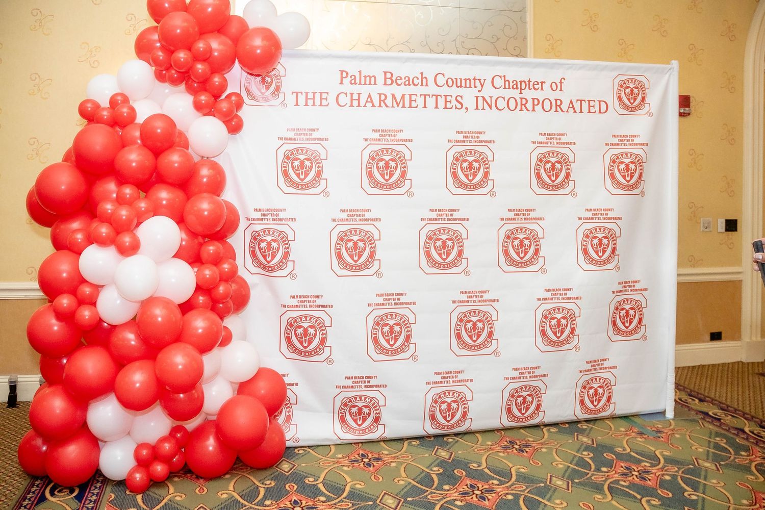 Corporate Event Photographer Step and Repeat