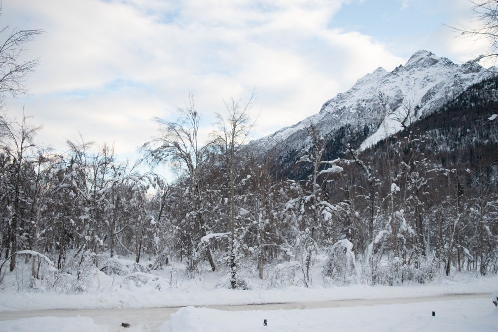 Alaska Travels