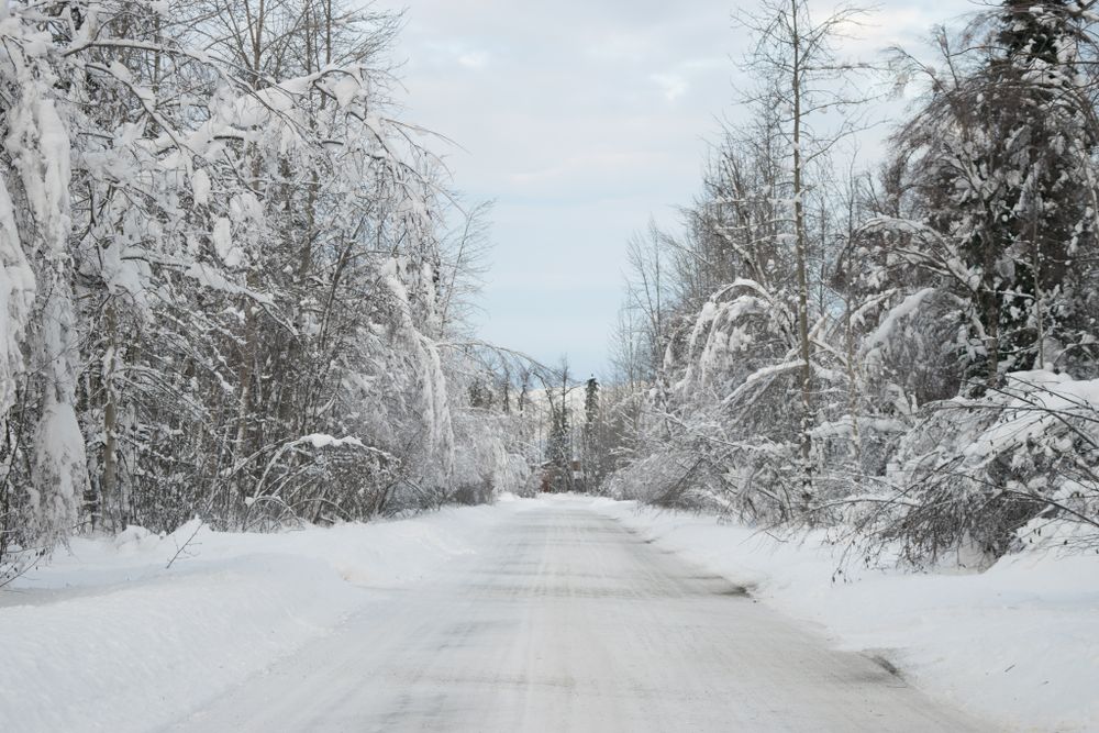 Alaska Travels