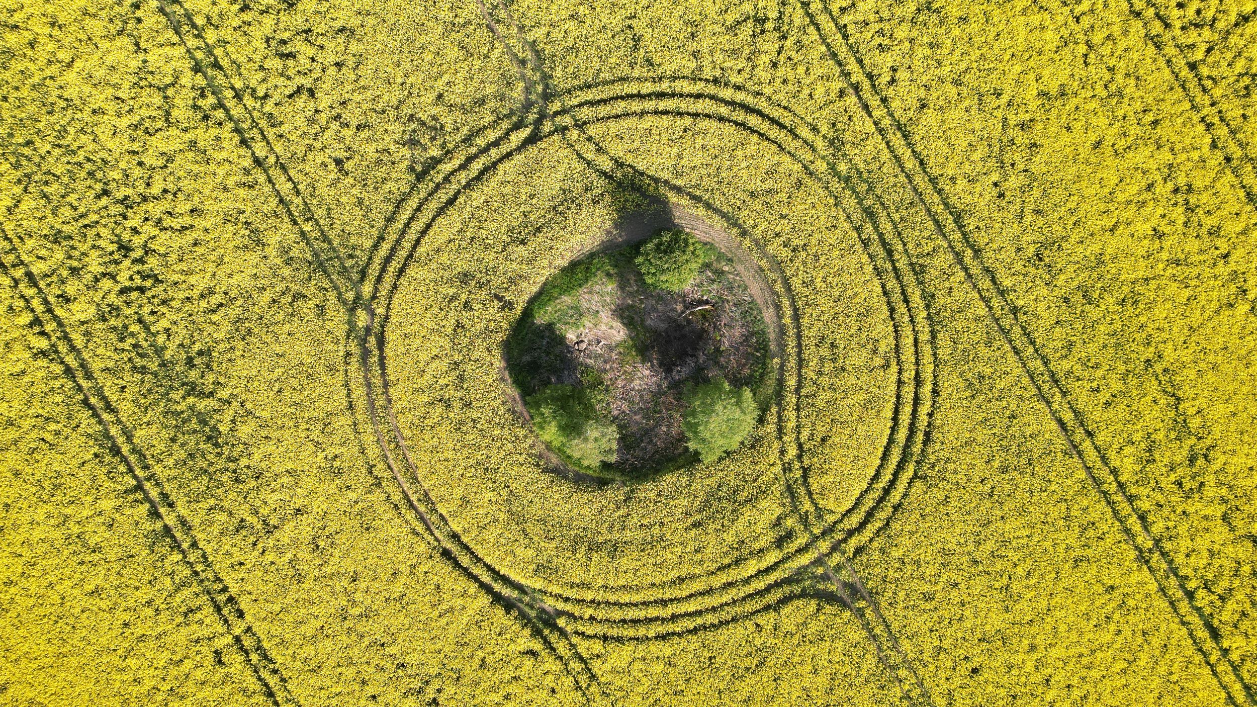 Ravnbak og Far er fotografer med base i Trekroner, Roskilde
