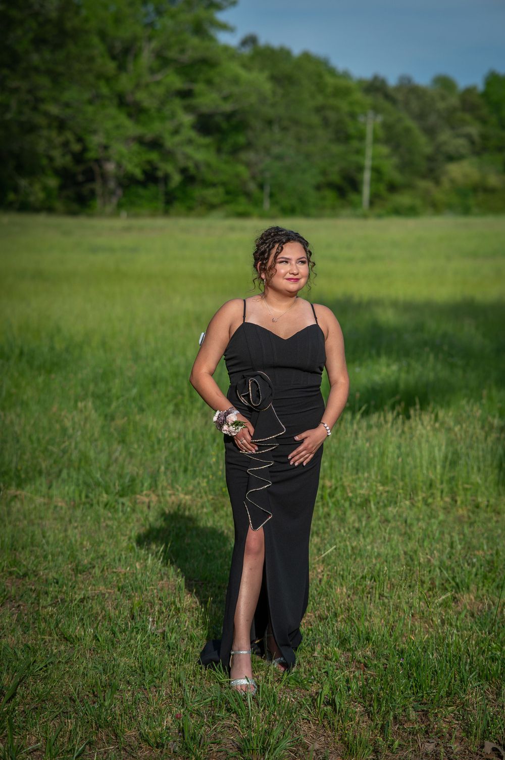 Teen girl in formal dress for prom standing in field, Anderson South Carolina