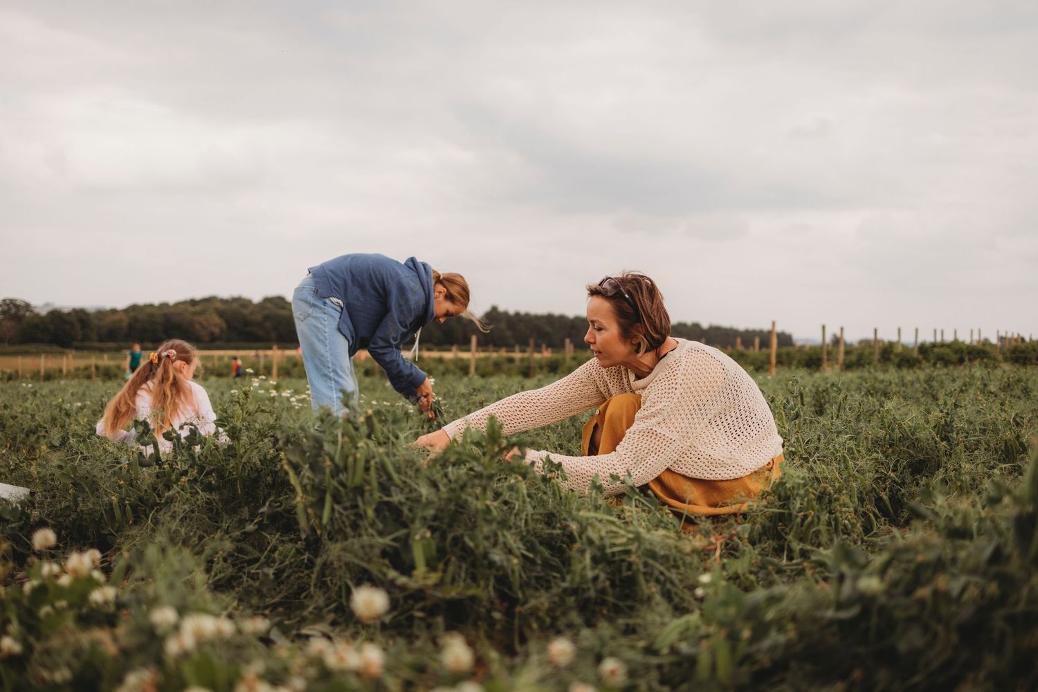 People picking flowers together in a sunny meadow during golden hour.
