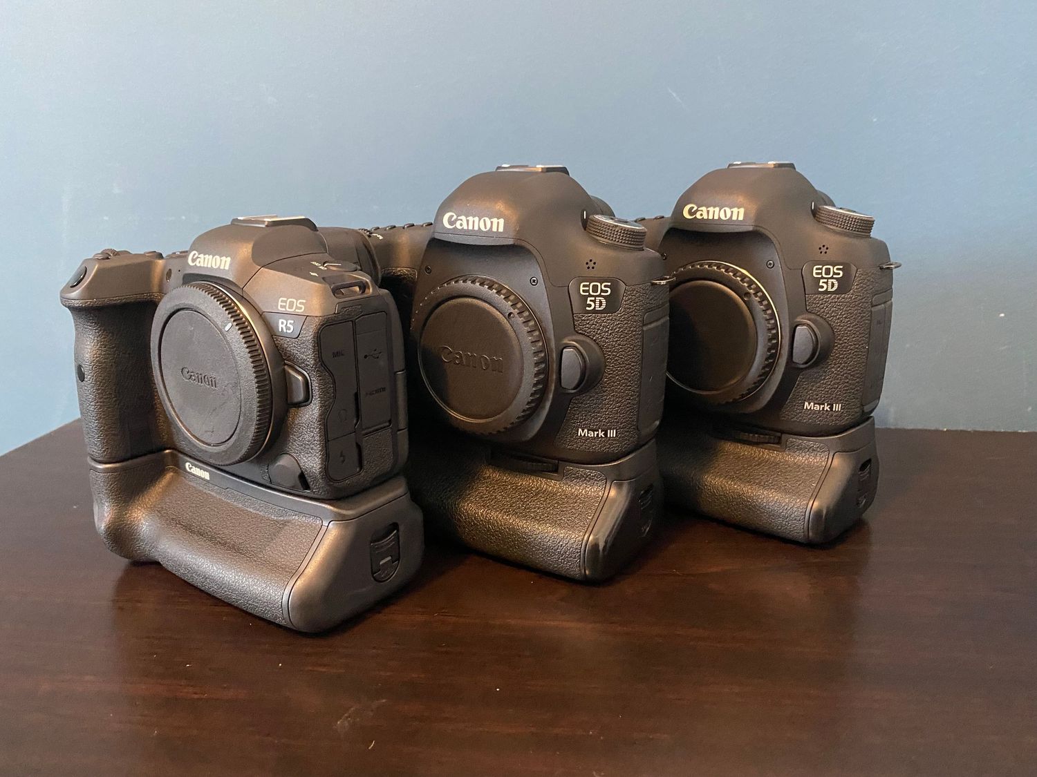 Canon R5 and Canon 5D mkiii 's