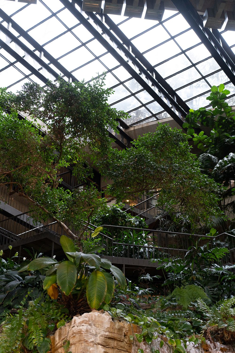 Indoor greenhouse with lush tropical plants growing beneath a glass ceiling and multiple levels.