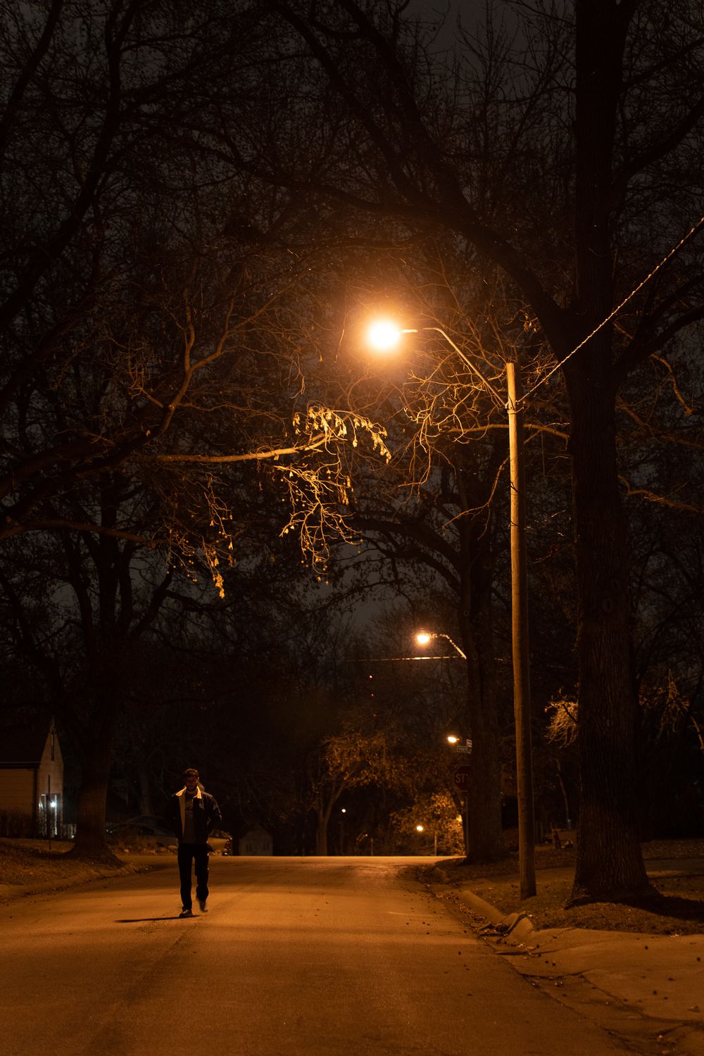 Street lamp illuminating a dark path through trees at night creating an atmospheric scene.