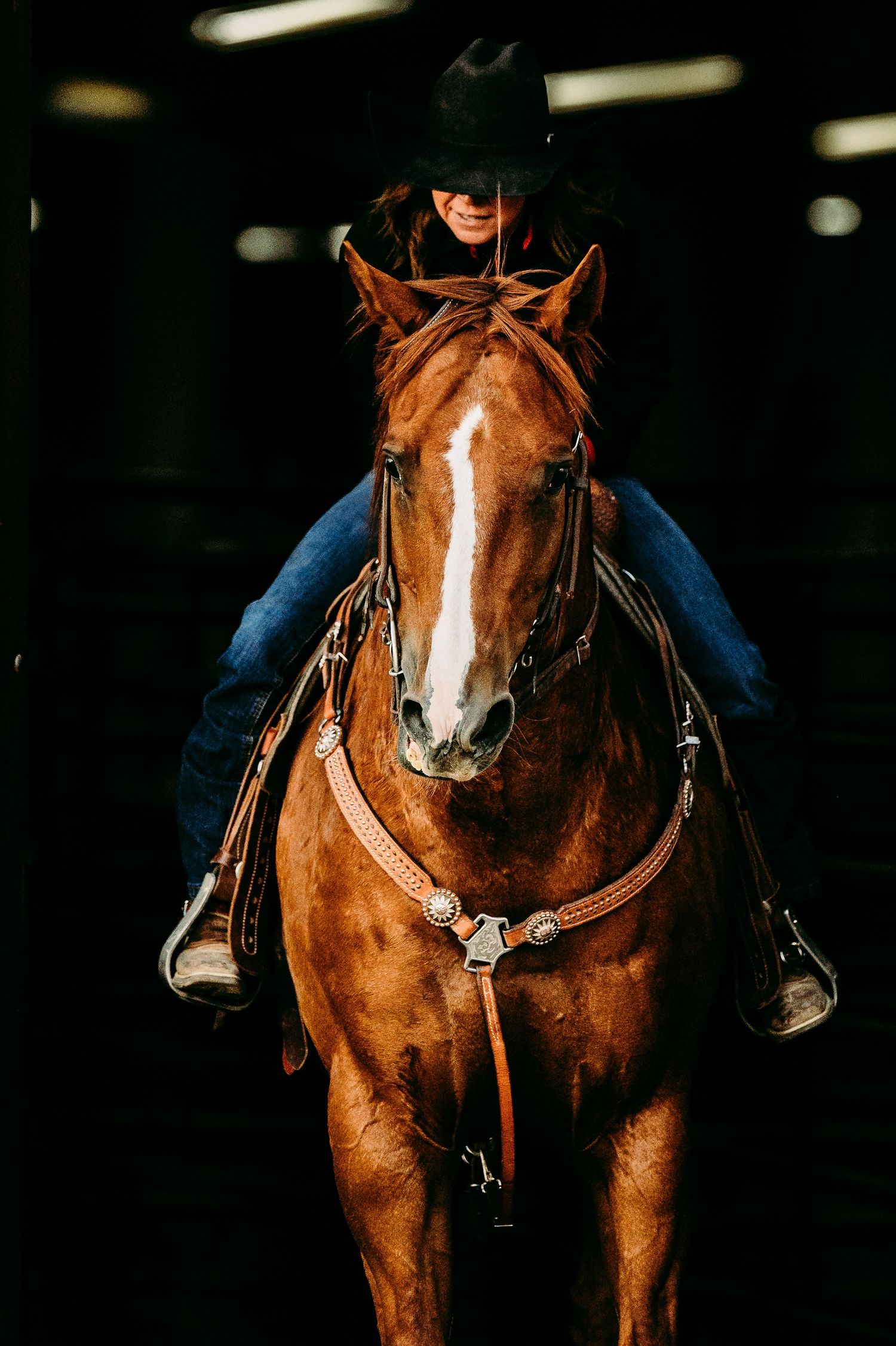 Close-up of majestic chestnut horse with rider in dark barn setting.