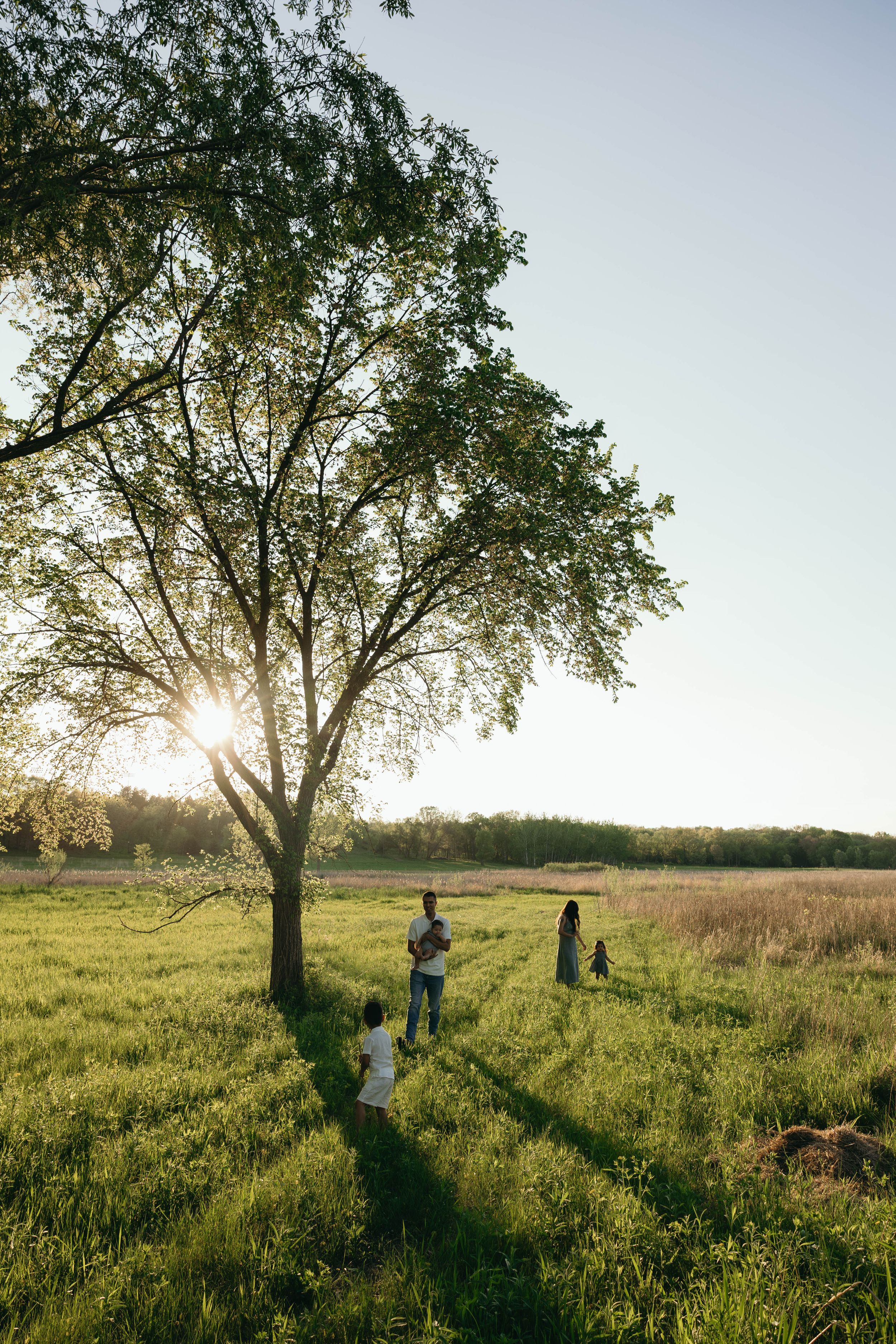 Silhouettes of people enjoying a sunset in a grassy meadow beneath a large tree casting long shadows.