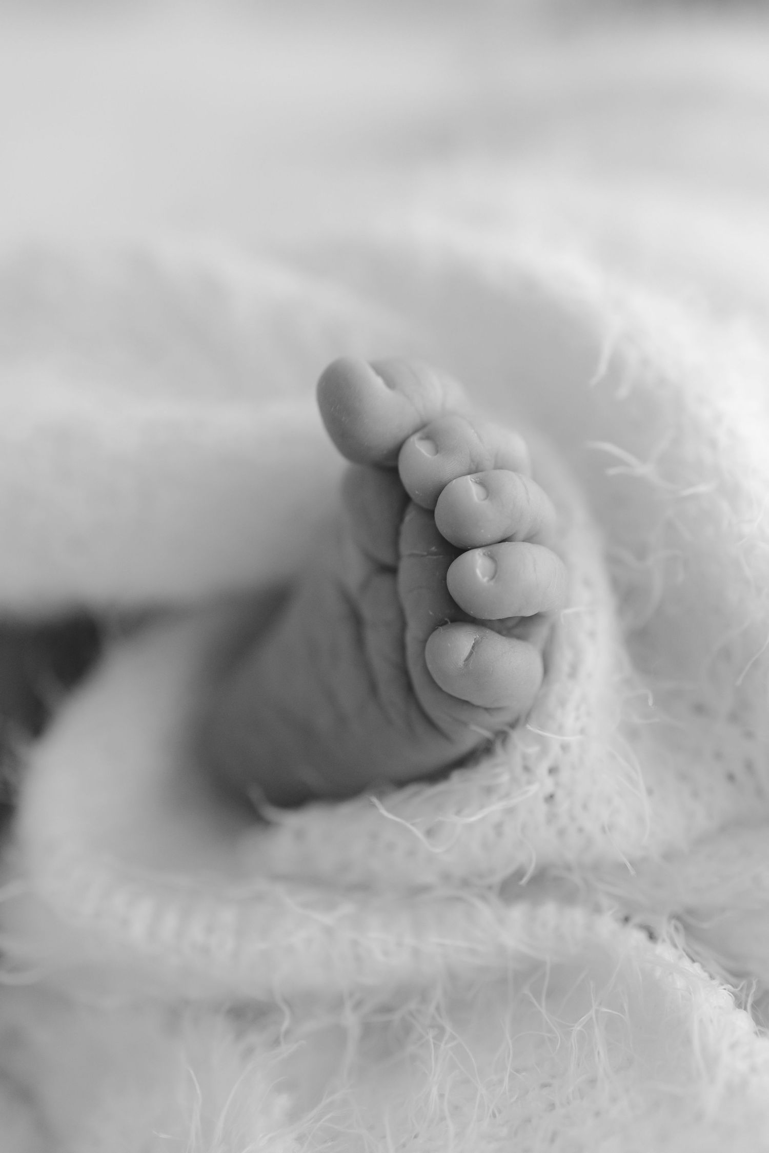 Black and white close-up photo of a newborn baby's tiny feet wrapped in a soft white knit blanket.
