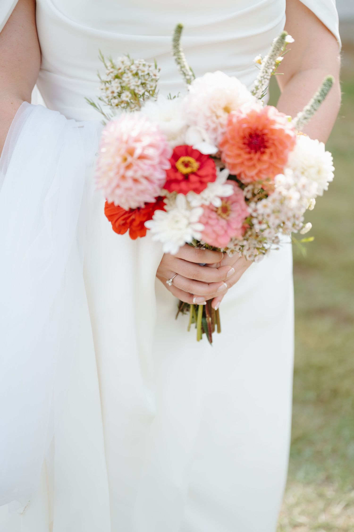 Vibrant red and pink zinnias bloom among lush green foliage in a summer garden with soft focus background.