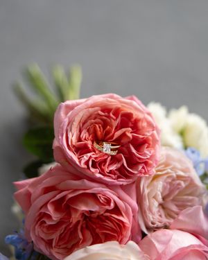 Detailed shot of pink garden roses with an engagement ring nestled among the petals.