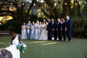 A small dog watches a wedding party lined up on a green lawn during an outdoor ceremony.