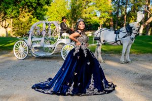 An elegant blue velvet gown with silver details poses by a white horse-drawn carriage in a garden setting. blomgren ranch.