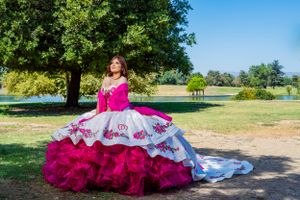 Ornate pink and white ball gown with detailed embroidery photographed in a sunny park. san fernando valley.