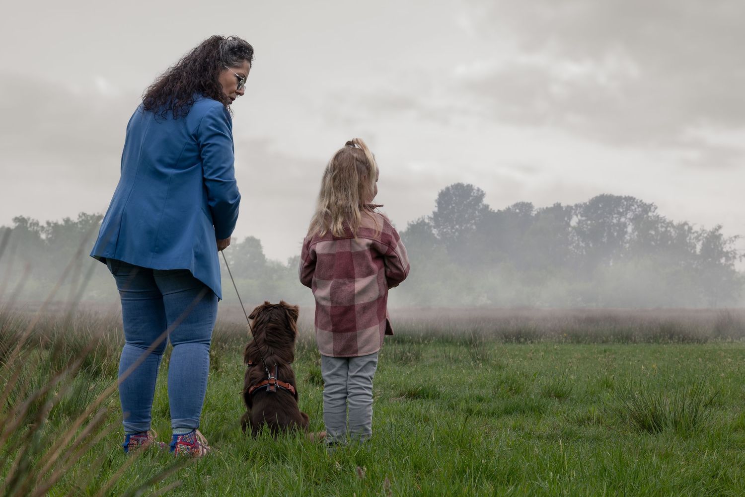 Two people and a dog walk together through a misty field at dawn.