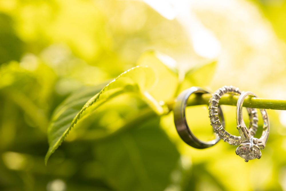 Wedding rings and diamond engagement ring displayed on a green plant stem with bokeh background.