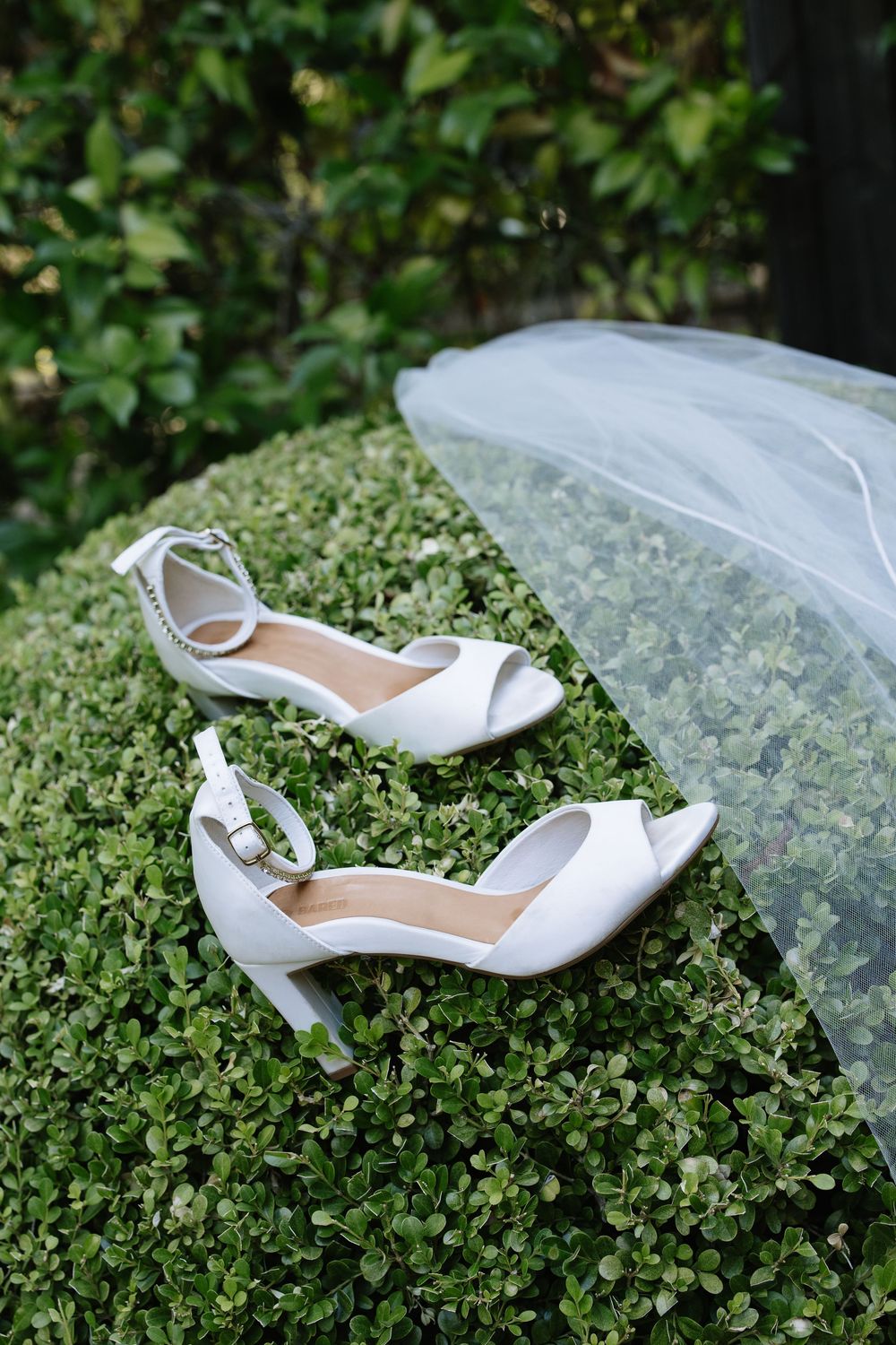White bridal heels with ankle straps rest on green boxwood hedge beside a flowing wedding veil outdoors.