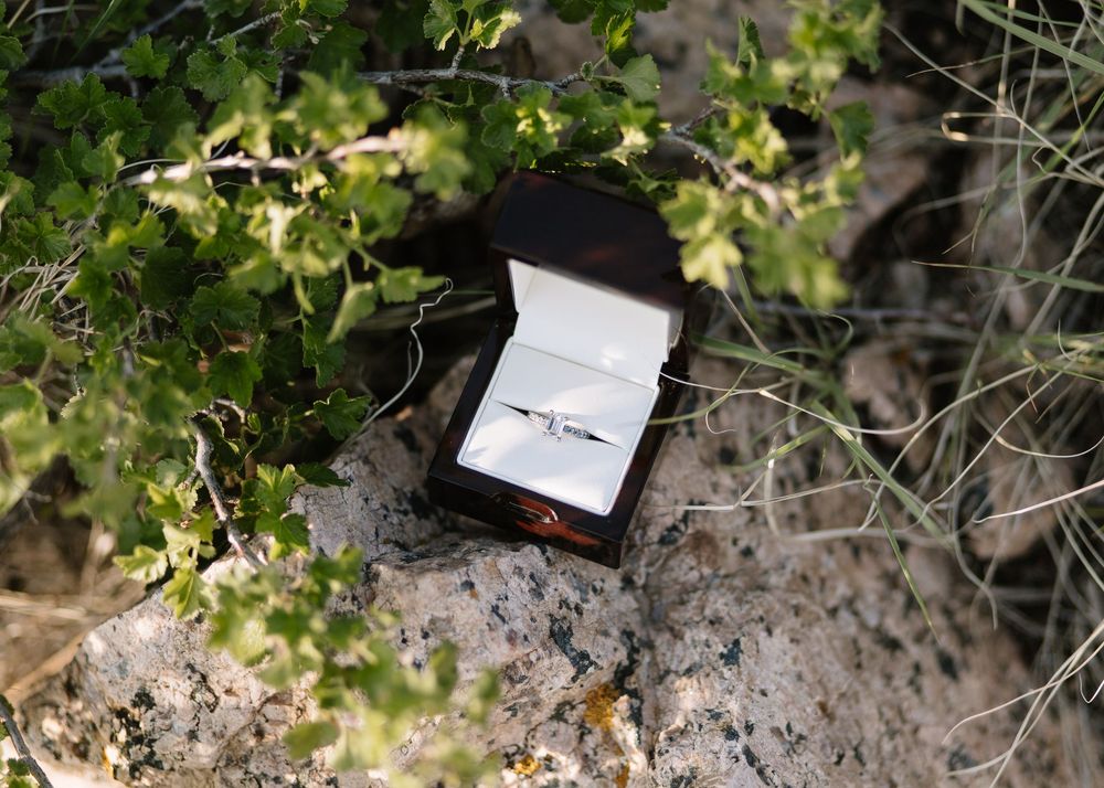 A diamond engagement ring in an open dark wooden box displayed on rocky terrain surrounded by green foliage.