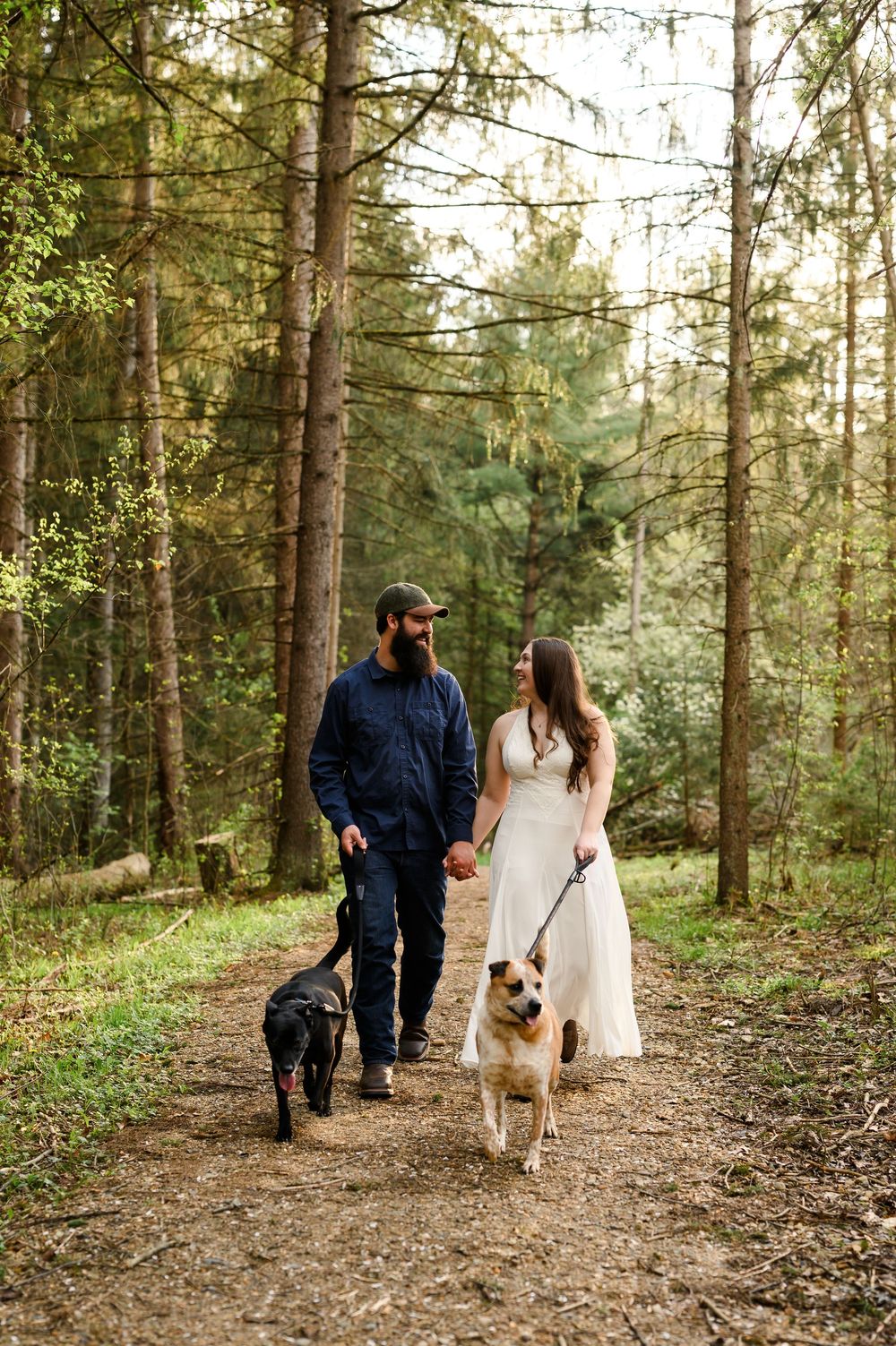 Couple in wedding attire walking two dogs on a forest trail surrounded by tall pine trees.