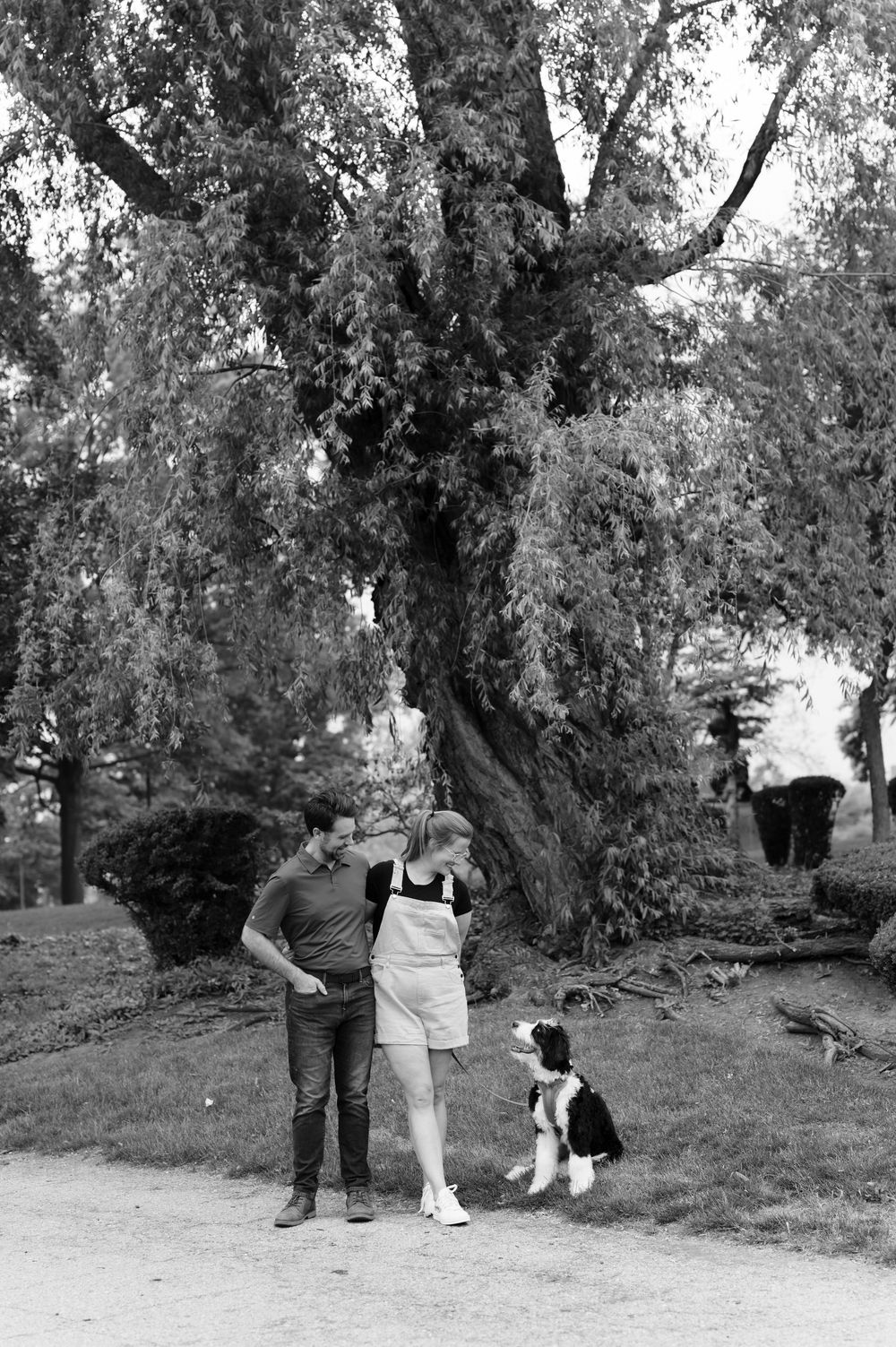 A black and white photo series shows a person playing fetch with their border collie dog in a wooded area.