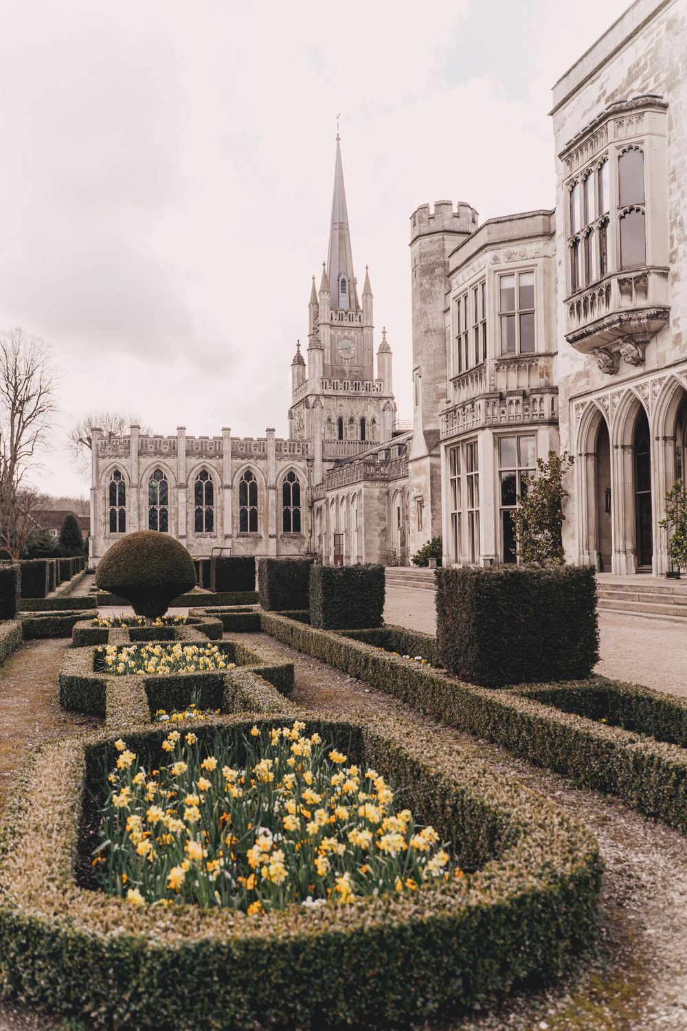 Gothic revival church with spire and manicured garden featuring blooming daffodils at Ashridge House.