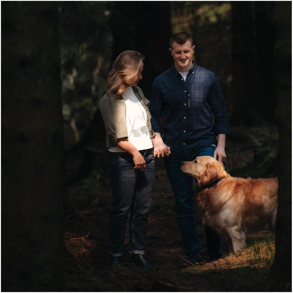 Couple holding hands with a golden retriever dog in a sunlit forest setting.