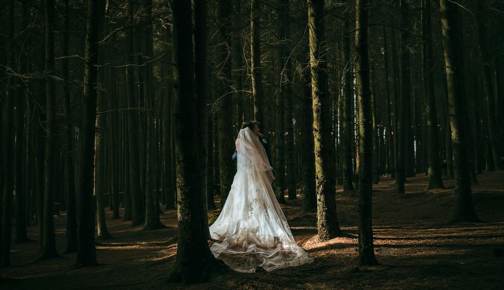 A bride in a white gown and veil stands alone in a dark, misty forest surrounded by tall trees.