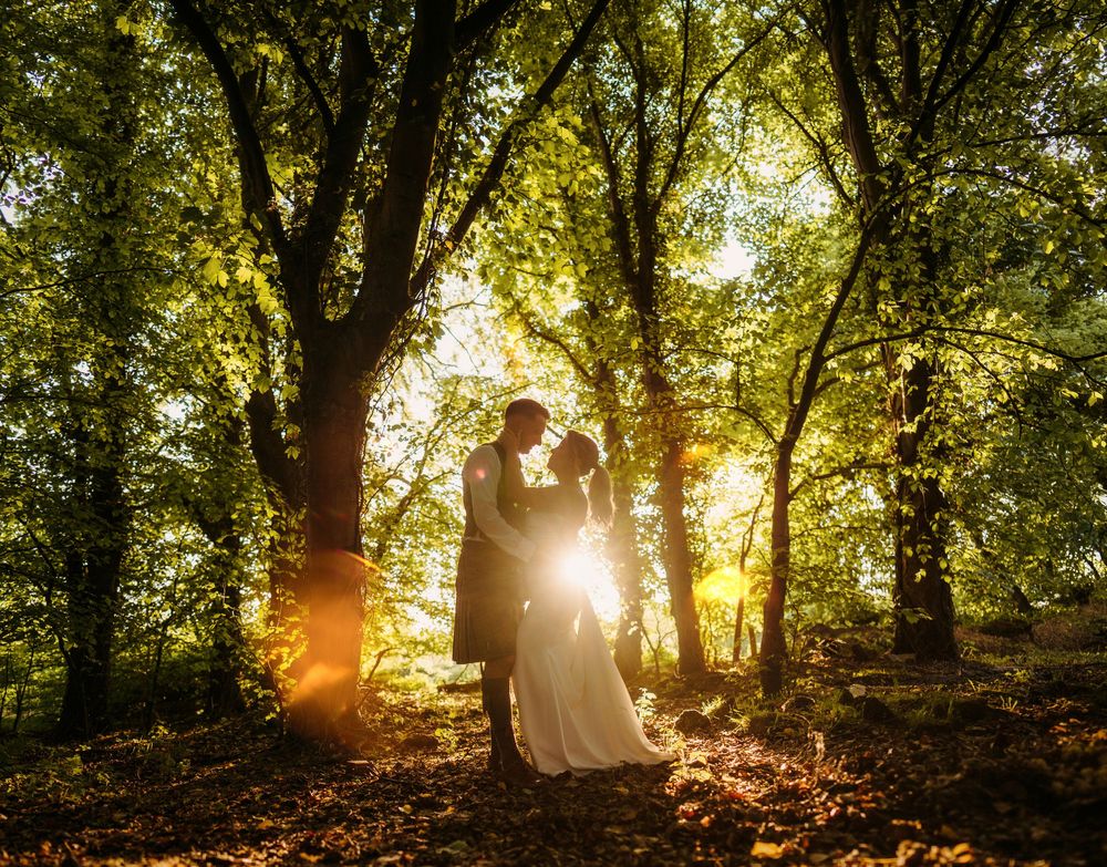 Bride and groom sharing a romantic kiss in a sunlit forest, golden light filtering through lush green trees.