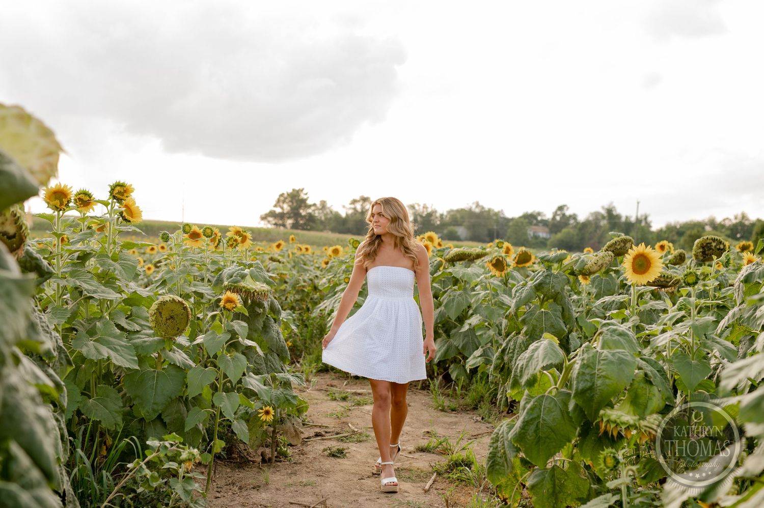 A person in a flowing white dress walks through a path in a sunflower field.