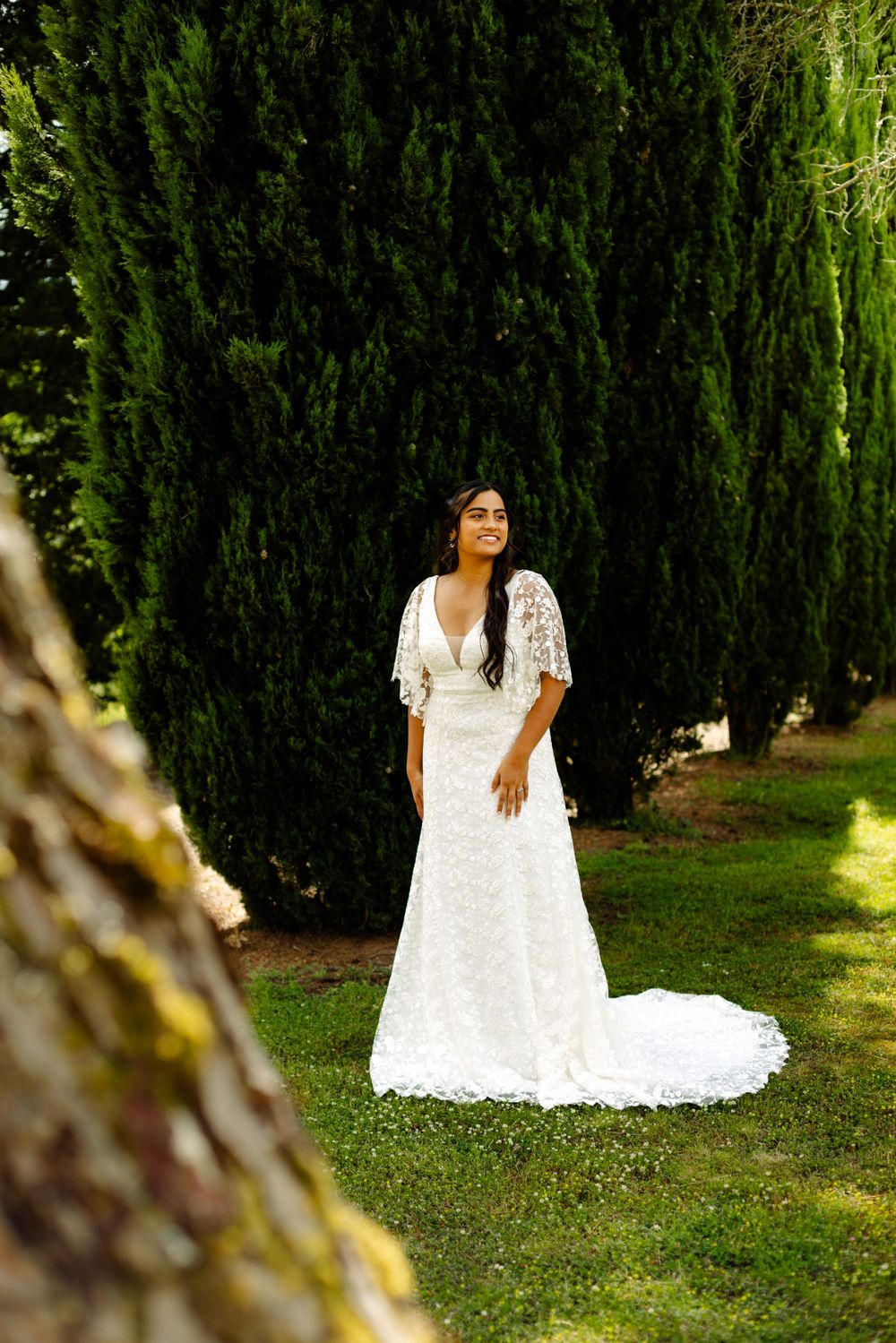 Artistic wedding photos captured in a garden setting with tall cypress trees.