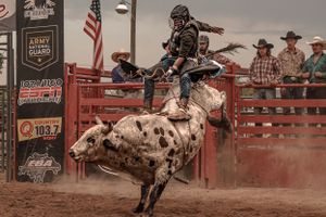 A bull rider competes on a spotted bull during a professional rodeo event.