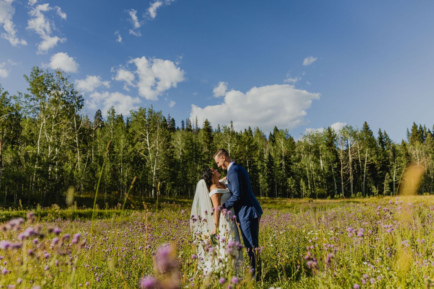 Romantic moment in a wildflower meadow with evergreen forest and mountain backdrop in Colorado.