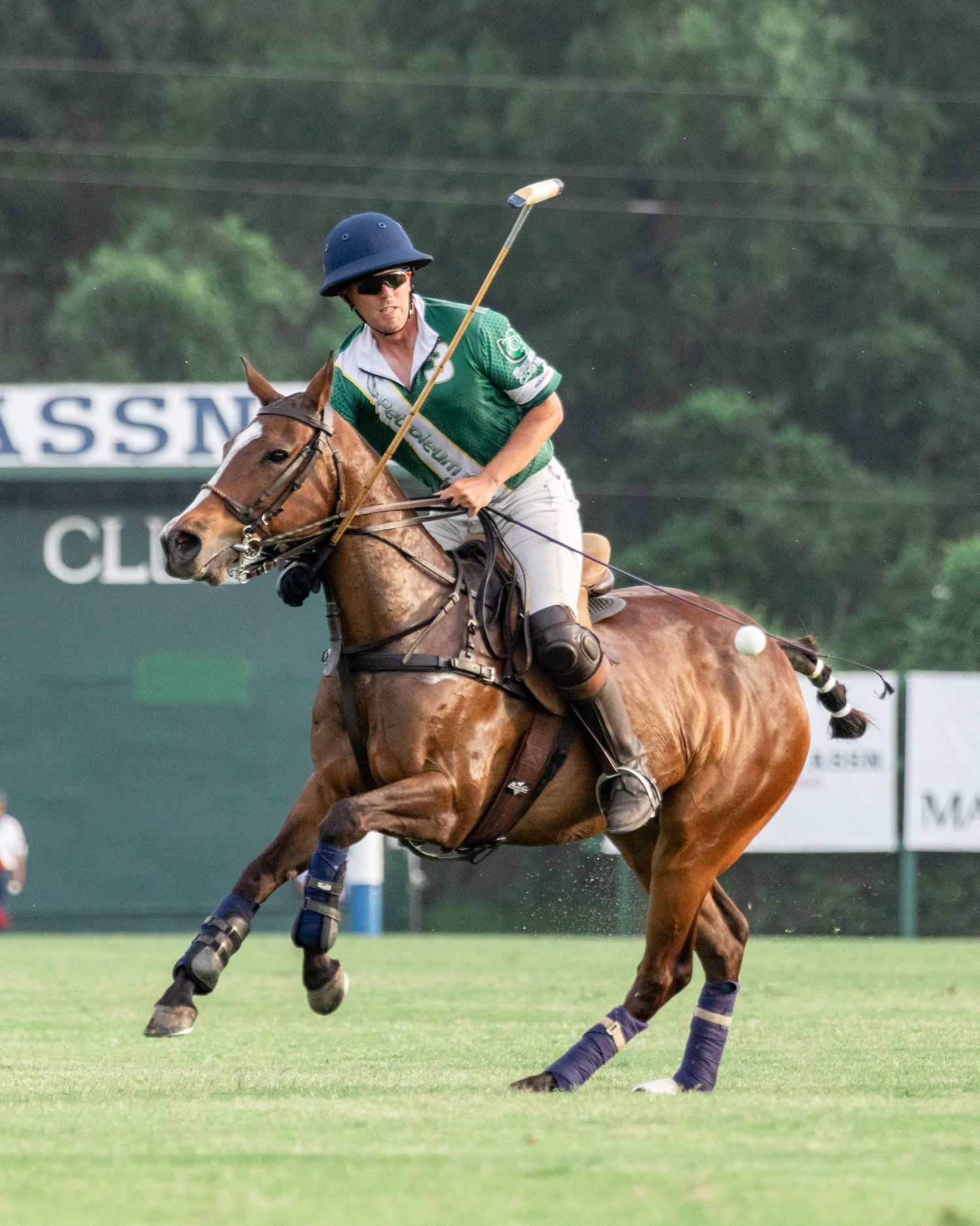 Polo