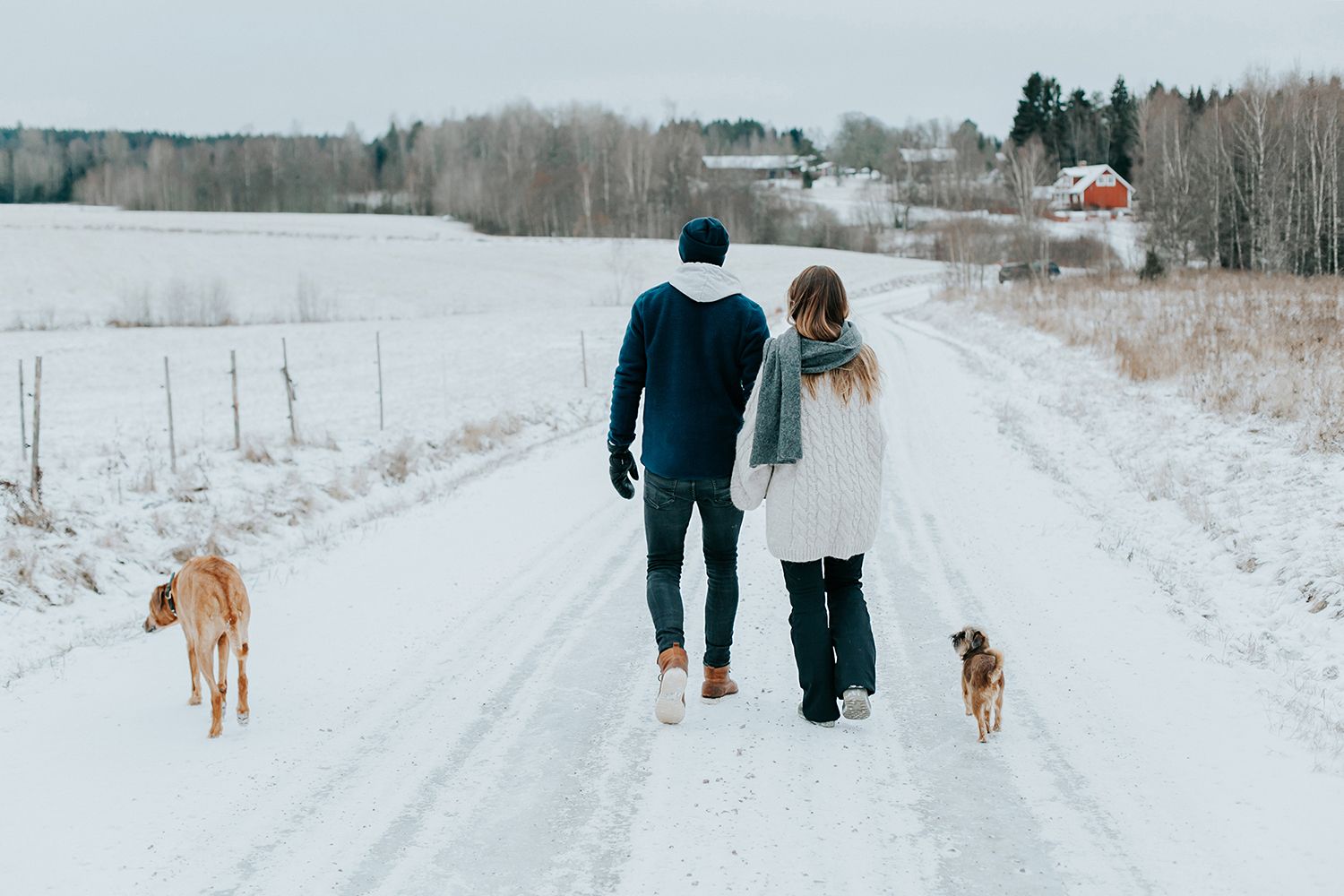 Parfotografering med Malin och Per Åslund vid Acksjön utanför Molkom. Fotograf Rebecca Nordin.