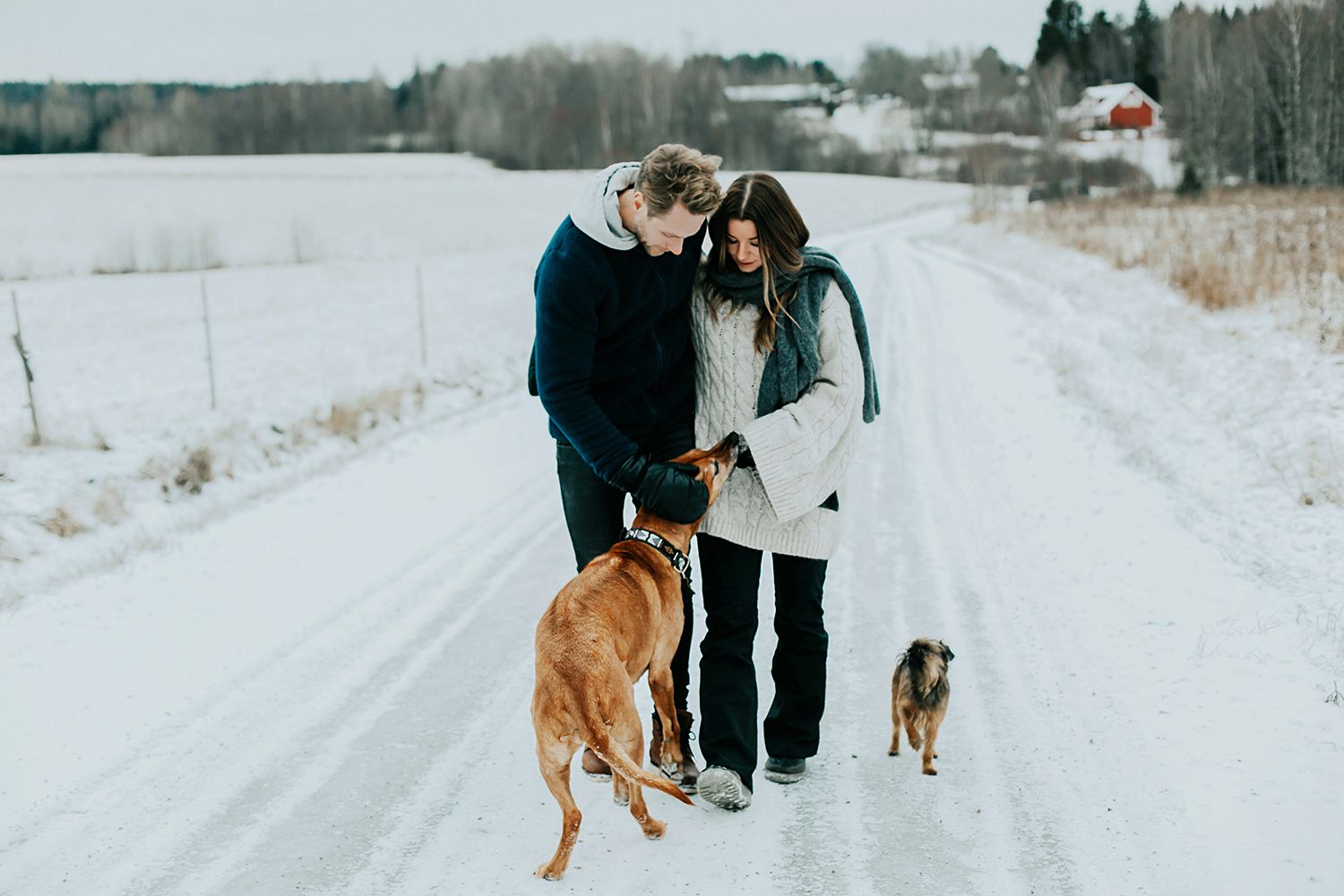 Parfotografering med Malin och Per Åslund vid Acksjön utanför Molkom. Fotograf Rebecca Nordin.
