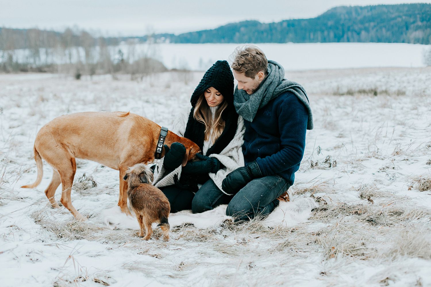 Parfotografering med Malin och Per Åslund vid Acksjön utanför Molkom. Fotograf Rebecca Nordin. Busa med hundarna.